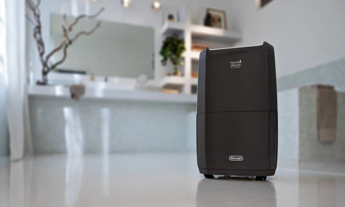 Galleria foto 'Deumidificatore o Condizionatore, come scegliere: caratteristiche e differenze' - foto 2