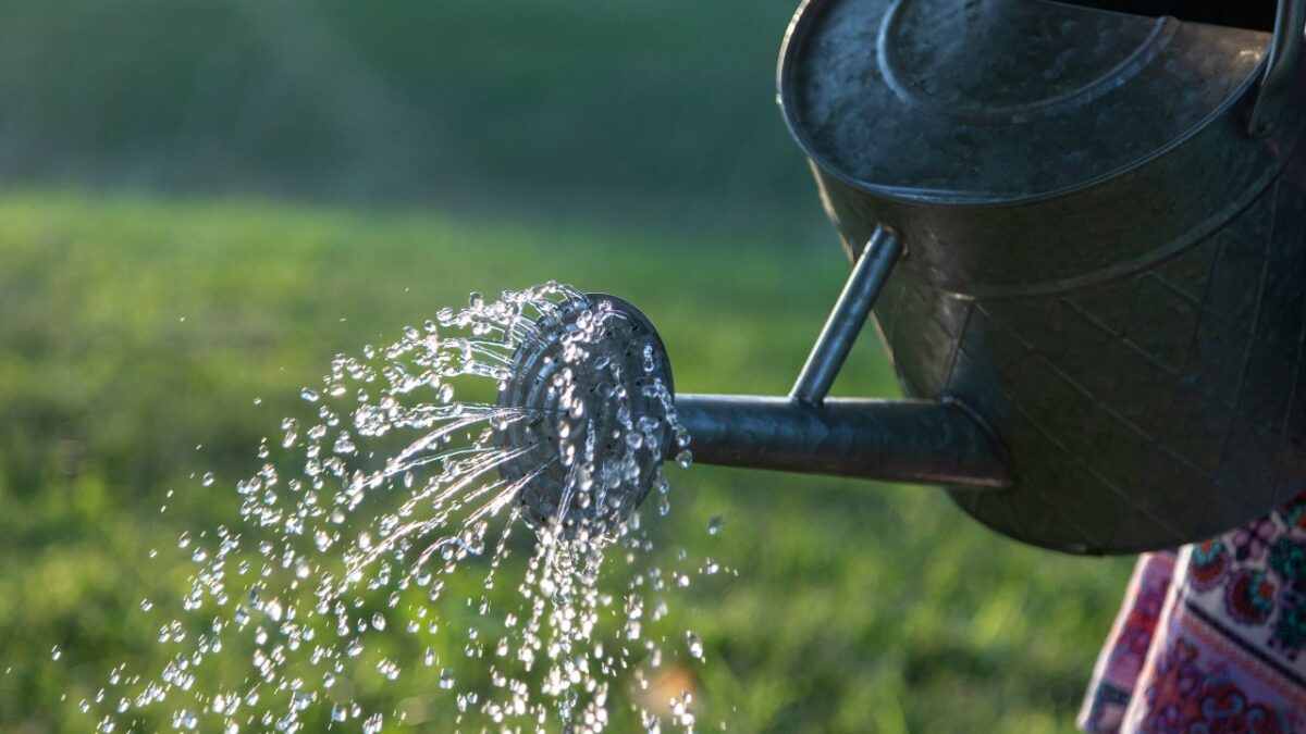Galleria foto '10 Accessori essenziali per la cura del Giardino' - foto 2