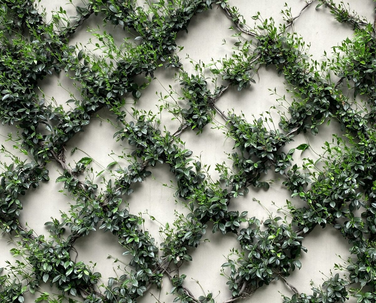 Galleria foto 'Come decorare le pareti della terrazza: idee da copiare' - foto 4