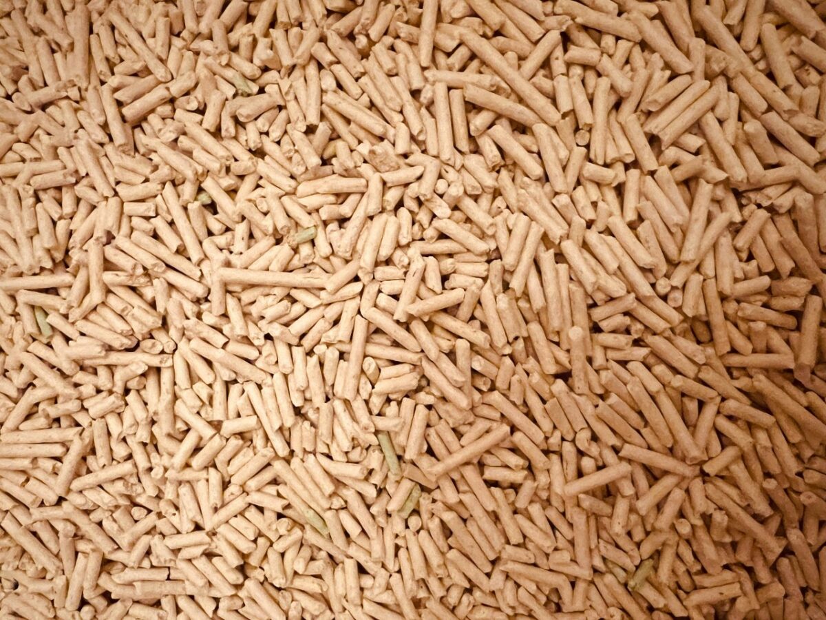 Galleria foto 'Stufa a Pellet o a Legna? Una Guida utile per fare la scelta giusta' - foto 5