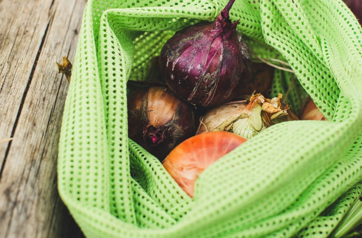 Galleria foto 'Come prendersi cura dell’Orto in Autunno e cosa seminare…' - foto 2