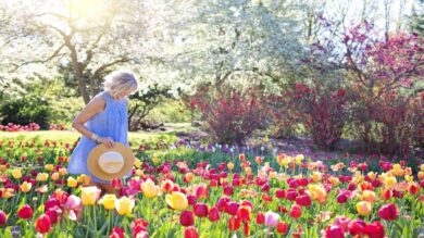 Scopri i migliori marchi di bellezza green e celebra la Giornata della Terra