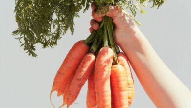 L’Olio di Carota per una Pelle luminosa: proprietà e benefici