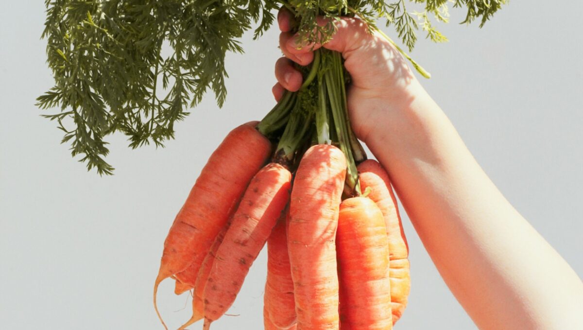 L’Olio di Carota per una Pelle luminosa: proprietà e benefici