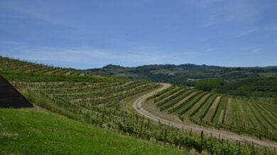 E’ il borgo del vino “Cortese”una vera perla nel cuore del Piemonte
