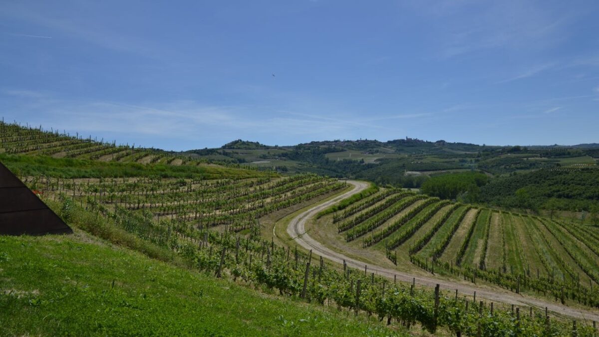 E’ il borgo del vino “Cortese”una vera perla nel cuore del Piemonte