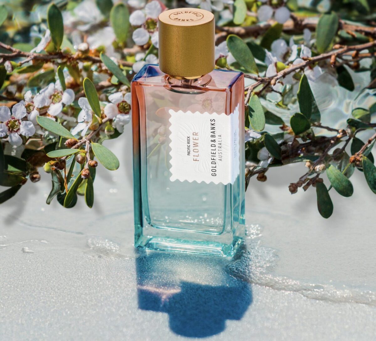 I profumi che durano tutto il giorno anche con 35 gradi: perfetti per l’estate I profumi che durano tutto il giorno anche con 35 gradi: perfetti per l’estate