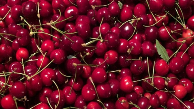 Rosso ciliegia sulle labbra: 4 rossetti che seguono la tendenza dell’estate