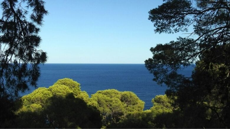 Isole e arcipelaghi della Puglia: meraviglie nascoste tra Adriatico e Ionio