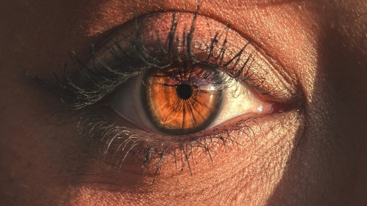 Make up occhi marroni: sofisticato e naturale, quello perfetto per ogni momento della giornata