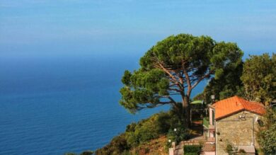Le spiagge più belle della Costa Toscana da scoprire questa estate