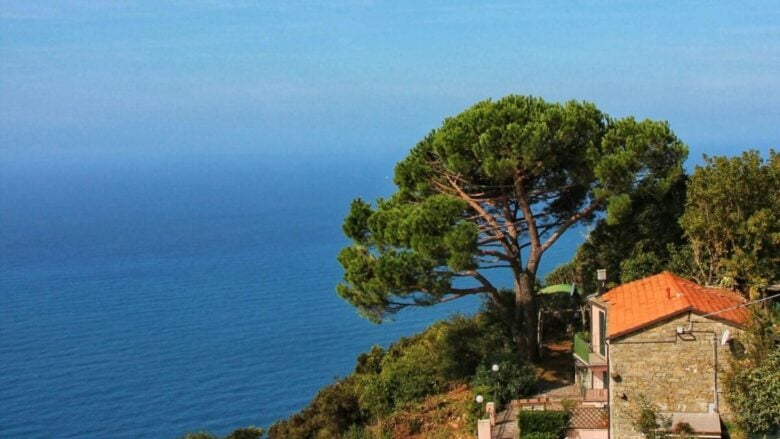 Le spiagge più belle della Costa Toscana da scoprire questa estate