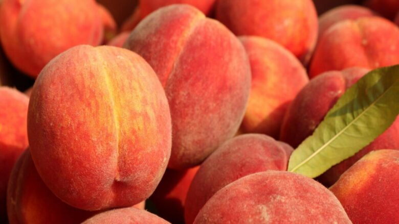 Dolci, solari, irresistibili: i profumi alla pesca che amerai quest’estate