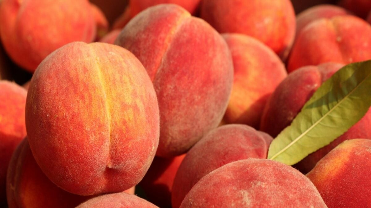Dolci, solari, irresistibili: i profumi alla pesca che amerai quest’estate