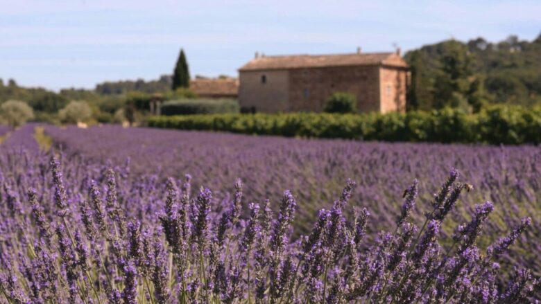 Un Borgo toscano che si trasforma ogni anno in un piccolo angolo di Provenza