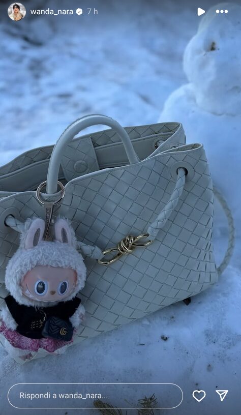 Wanda Nara, sulla neve con la sua nuova bag preferita: non immagineresti mai quanto costa la sua Bottega Veneta! Wanda Nara, sulla neve con la sua nuova bag preferita: non immagineresti mai quanto costa la sua Bottega Veneta!