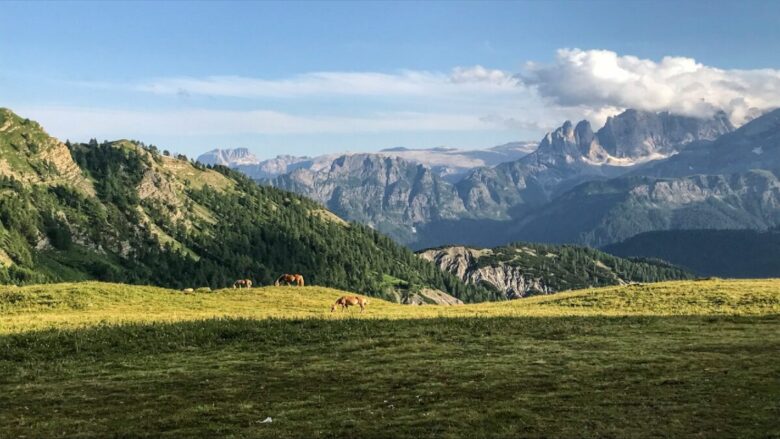 Valle del Primiero a settembre: il momento ideale per fare un salto nel passato
