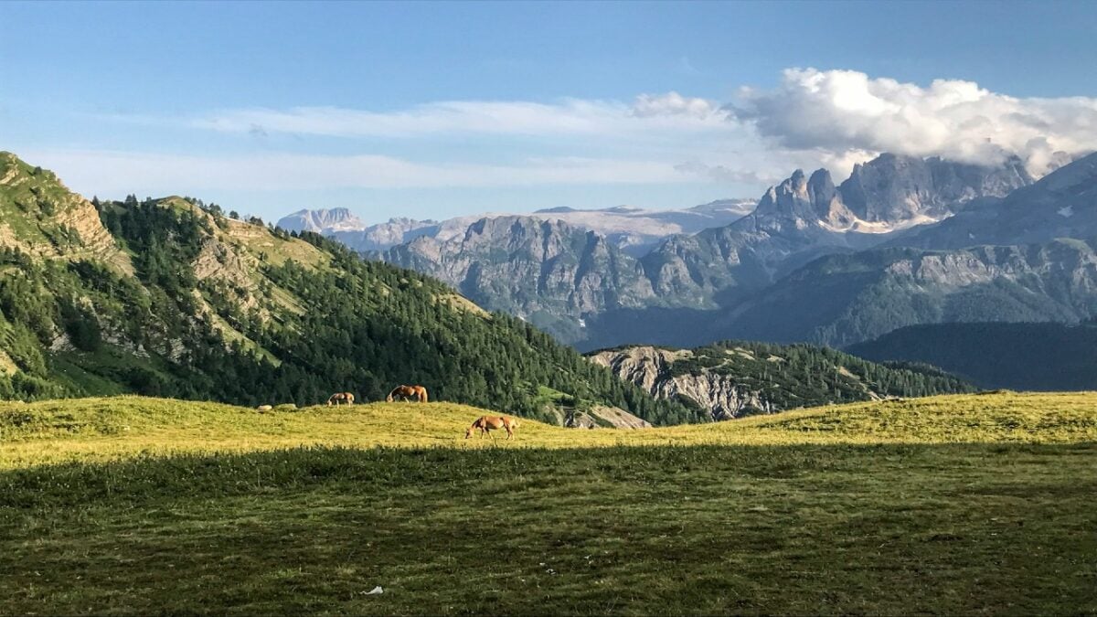 Valle del Primiero a settembre: il momento ideale per fare un salto nel passato