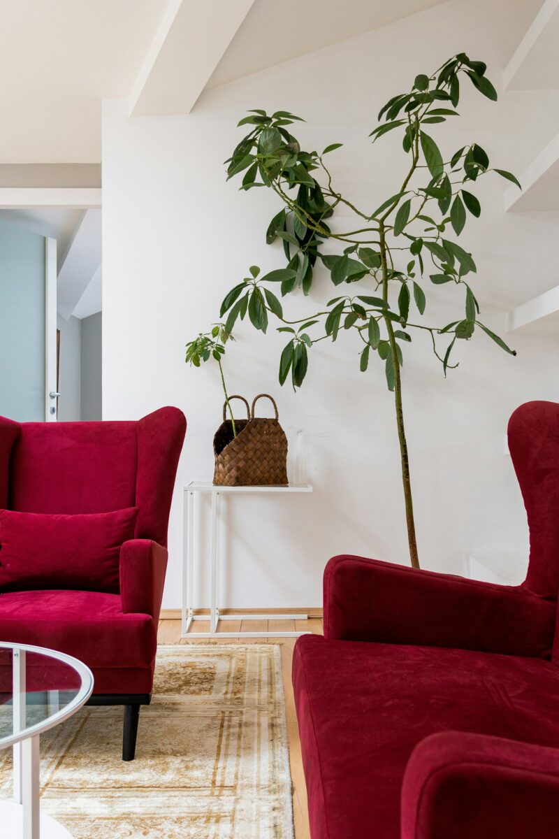 Tendenze Cromatiche Autunno 2025: la nuova palette per l’interior design Tendenze Cromatiche Autunno 2025: la nuova palette per l’interior design
