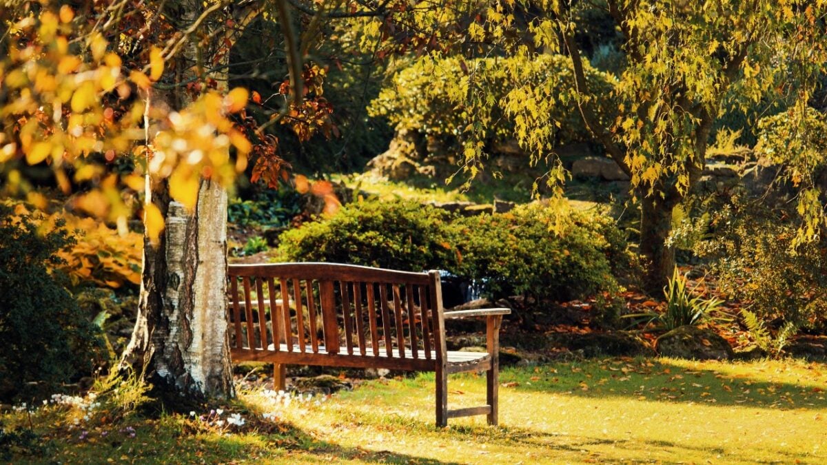 Il segreto di un Giardino rigoglioso? Piantare in Autunno!