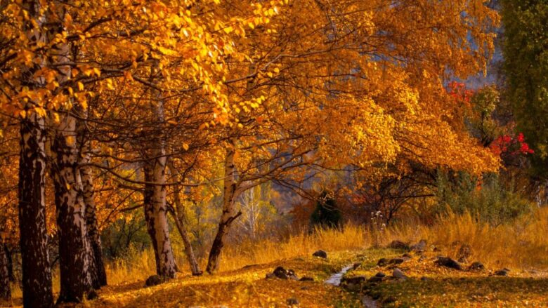 L’autunno che incanta nei borghi della Valle Isarco in Alto Adige