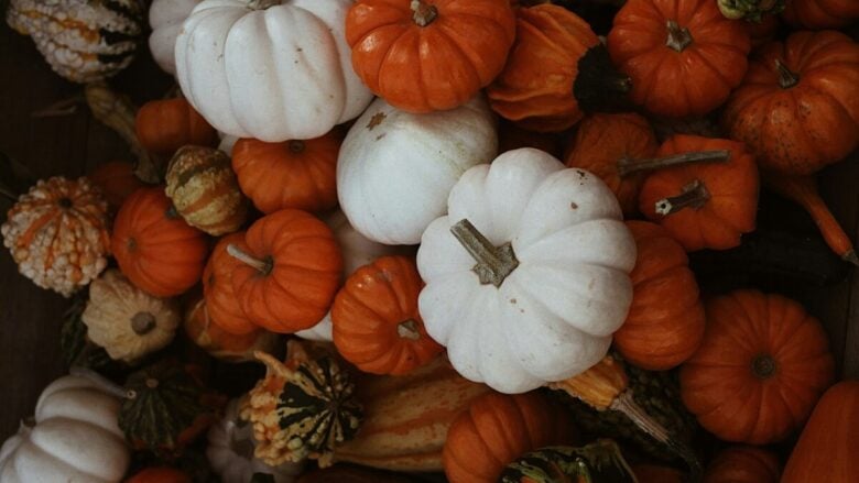 Autunno nei Borghi italiani: 5 sagre da segnare subito in agenda