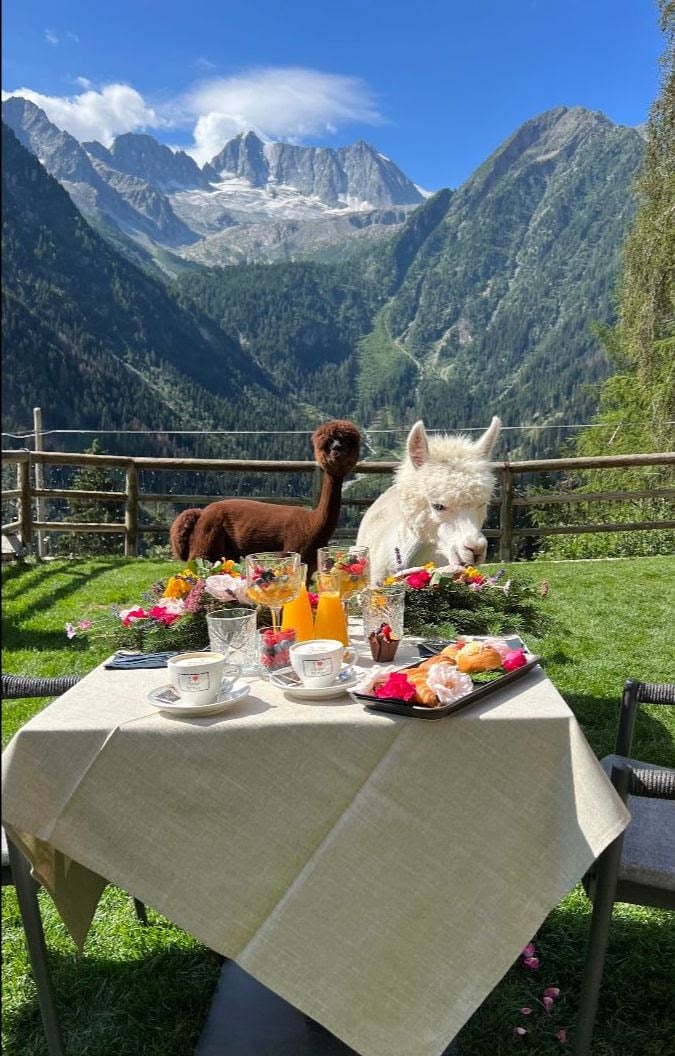 Questo hotel di charme in Trentino è la destinazione perfetta per una fuga romantica davvero sopra le righe!