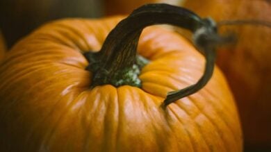 Zucca, il simbolo dell’autunno protagonista del Home decor di stagione e di Halloween