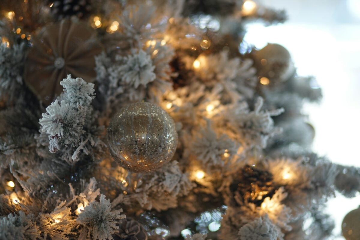 Natale 2025, come decorare l’Albero: stili e colori di tendenza per un design contemporaneo Natale 2025, come decorare l’Albero: stili e colori di tendenza per un design contemporaneo