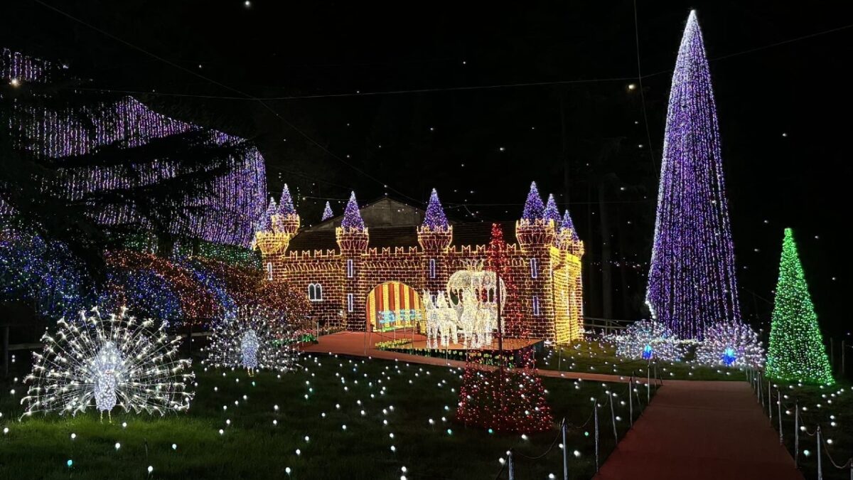 Le spettacolari luci di Natale di questo Borgo sul Lago Maggiore tornano ad incantare grandi e piccoli Le spettacolari luci di Natale di questo Borgo sul Lago Maggiore tornano ad incantare grandi e piccoli