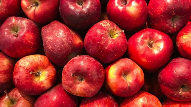 La nota olfattiva di stagione è golosa, croccante e irresistibile: un profumo unico!