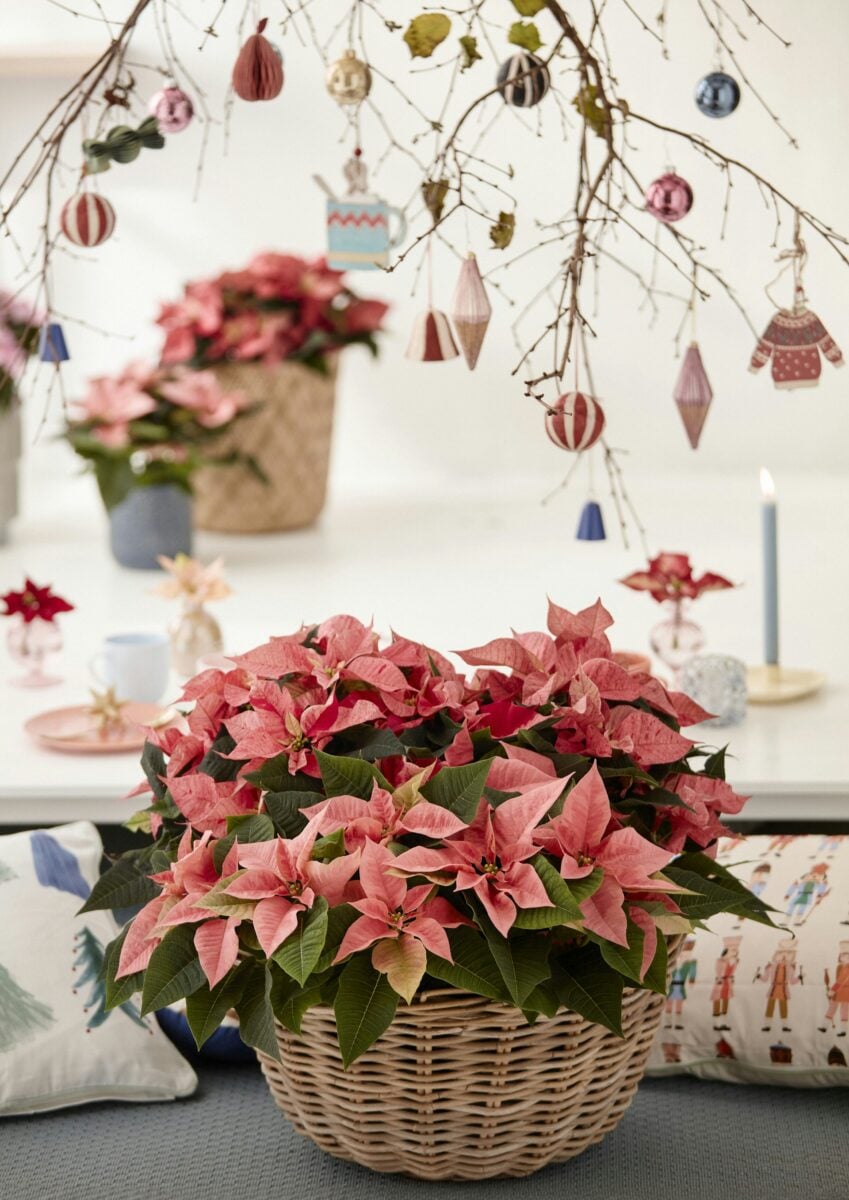 Centrotavola fai da te per la Cena di Capodanno: idee di stile per una tavola memorabile