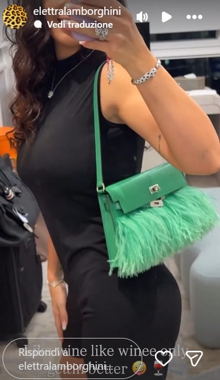Elettra Lamborghini mostra sui social la sua borsa Hermès in edizione limitata che vale una fortuna! Elettra Lamborghini mostra sui social la sua borsa Hermès in edizione limitata che vale una fortuna!
