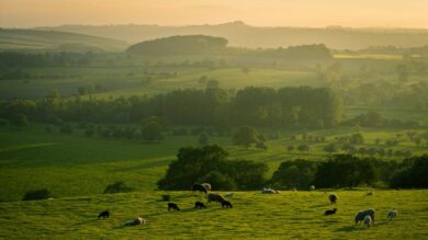 Alla scoperta degli spettacolari set di Cime Tempestose, il film con Margot Robbie e Jacob Elordi