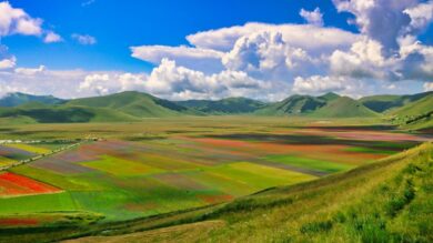 Le fioriture più belle d’Italia da non perdere questa Primavera!