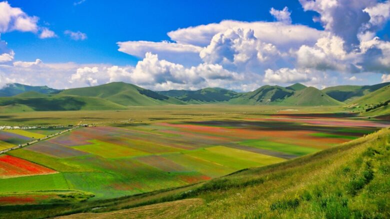 Le fioriture più belle d’Italia da non perdere questa Primavera!