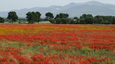 Questo incantevole Borgo della Maremma è la destinazione ideale per un weekend di Primavera indimenticabile!