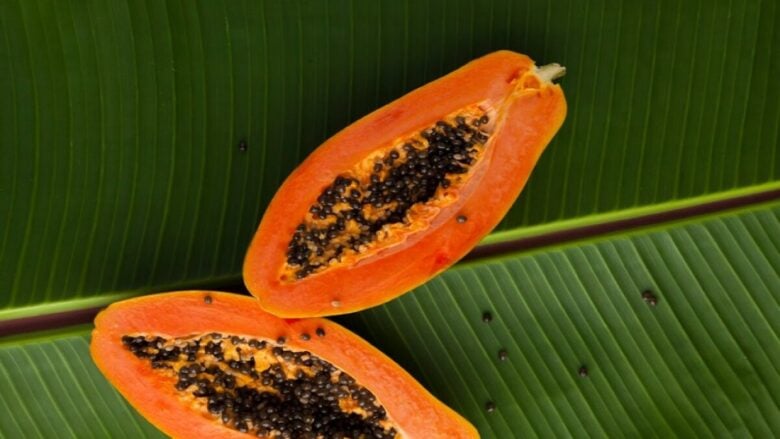 Profumi alla papaya: 5 profumi di tendenza alla nota olfattiva golosa ed esotica