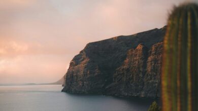 Primavera al caldo: le 5 isole europee dove l’inverno è già un ricordo (c’è anche un’italiana)