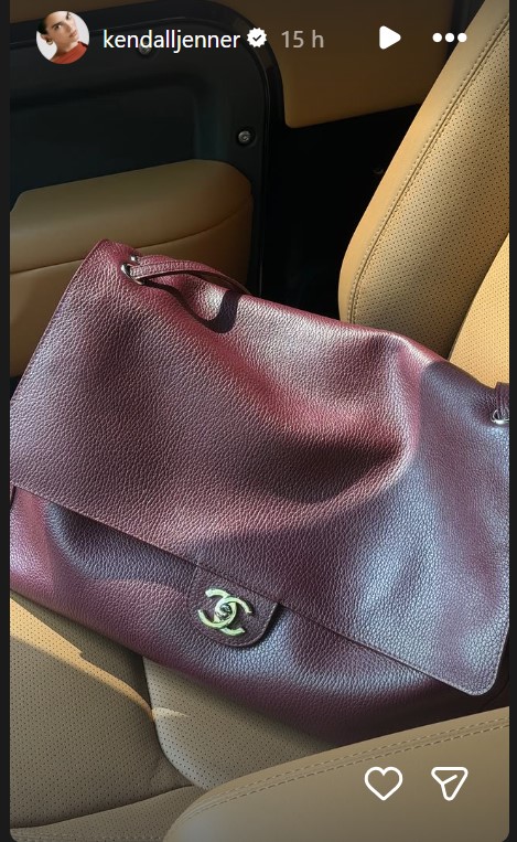 Kendall Jenner mostra sui social la new entry nella sua collezione di borse di lusso: ma quanto costa!