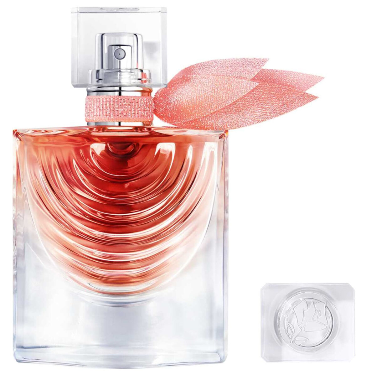 I profumi all’iris della Primavera 2026: 5 fragranze dolci e persistenti (l’ultima è la mia preferita) I profumi all’iris della Primavera 2026: 5 fragranze dolci e persistenti (l’ultima è la mia preferita)
