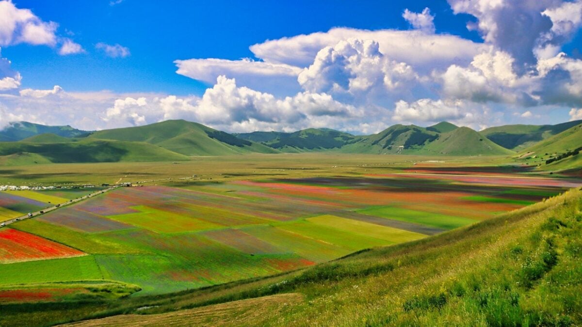 Castelluccio di Norcia e la Fiorita: quando visitare il borgo più colorato dell’Umbria Castelluccio di Norcia e la Fiorita: quando visitare il borgo più colorato dell’Umbria