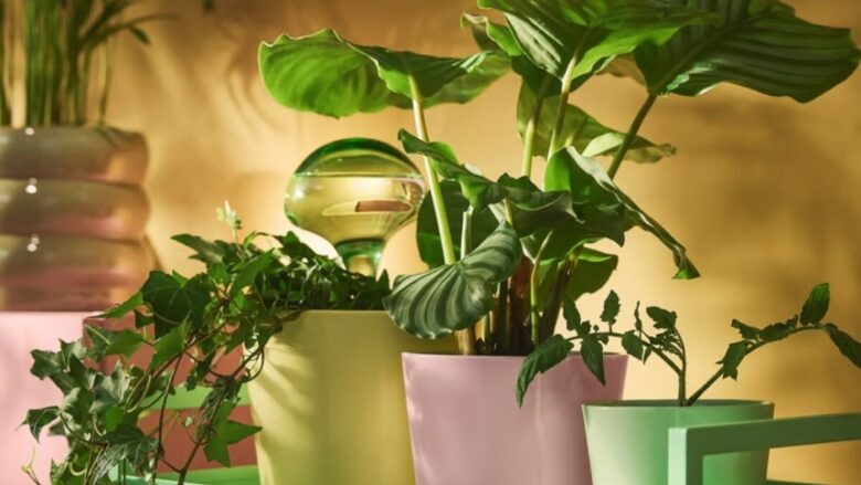 Gli indispensabili IKEA per coltivare le piante in casa: 6 accessori utili per il giardinaggio