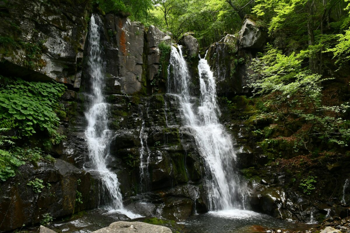 5 parchi naturali dell’Emilia-Romagna da visitare in estate tra laghi, cascate e panorami unici