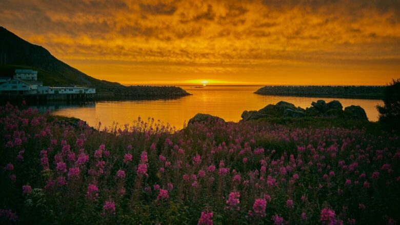 Sole di mezzanotte: 3 destinazioni da visitare in estate tra Alaska, Norvegia e Islanda