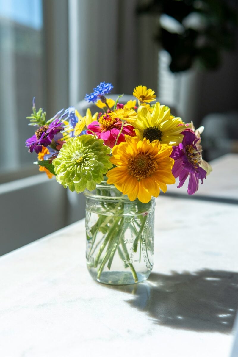Come far durare più a lungo i fiori recisi in estate: 7 consigli da fiorista Come far durare più a lungo i fiori recisi in estate: 7 consigli da fiorista