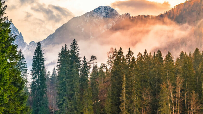 Alla scoperta di Tarvisio, un bellissimo borgo nel nord Italia dove trascorrere un’Estate al fresco