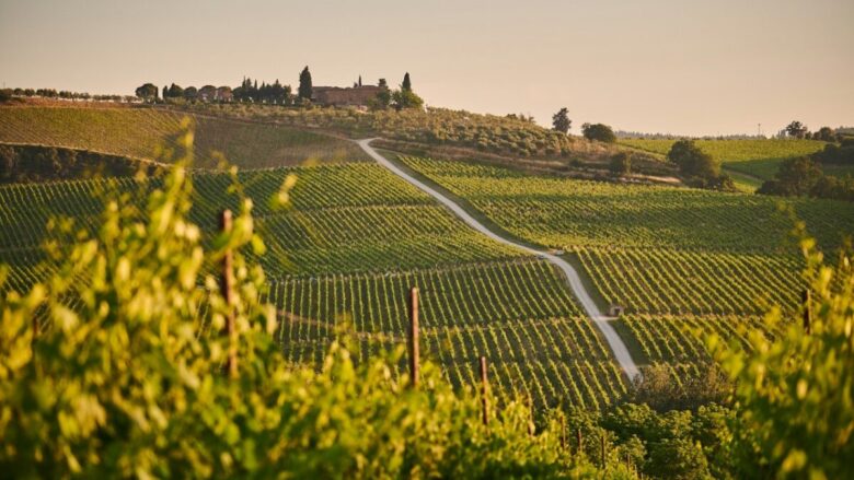 Agosto in Toscana: cosa vedere tra borghi, spiagge e luoghi al fresco da scoprire quest’estate