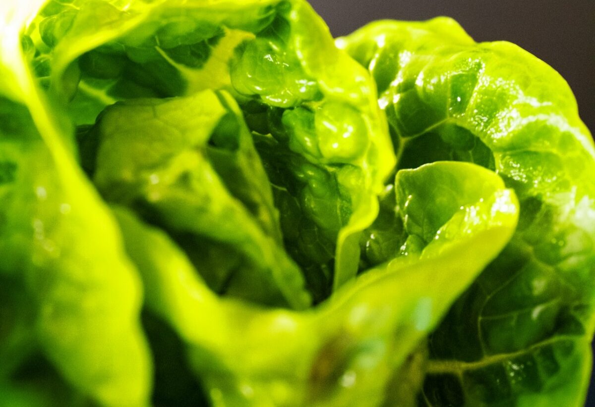Orto sul balcone: quali verdure coltivare in vaso per ottenere raccolti abbondanti anche in poco spazio