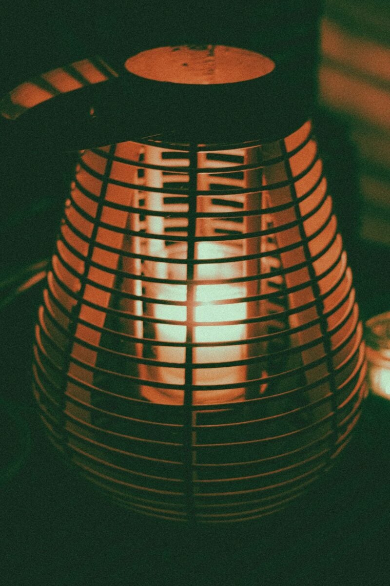 Lampade antizanzare, l’alternativa economica alle zanzariere per dire addio agli insetti Lampade antizanzare, l’alternativa economica alle zanzariere per dire addio agli insetti